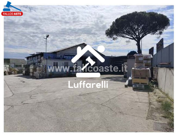 CAPANNONE / IMMOBILI INDUSTRIALI VIA FRANCESCO TENSI - ROMA — foto 8