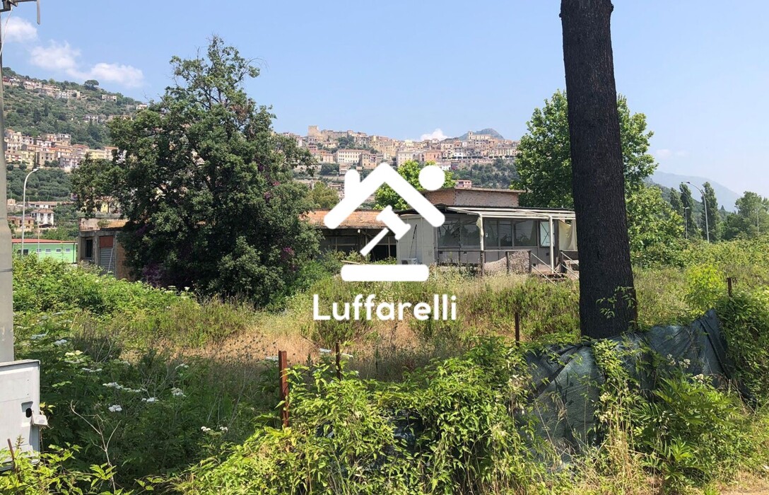 Immagine di CAPANNONE / IMMOBILI INDUSTRIALI SS7 – MONTE SAN BIAGIO