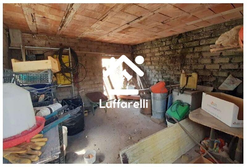 Immagine di APPARTAMENTO VIA DELLE NOTTUE – ARDEA