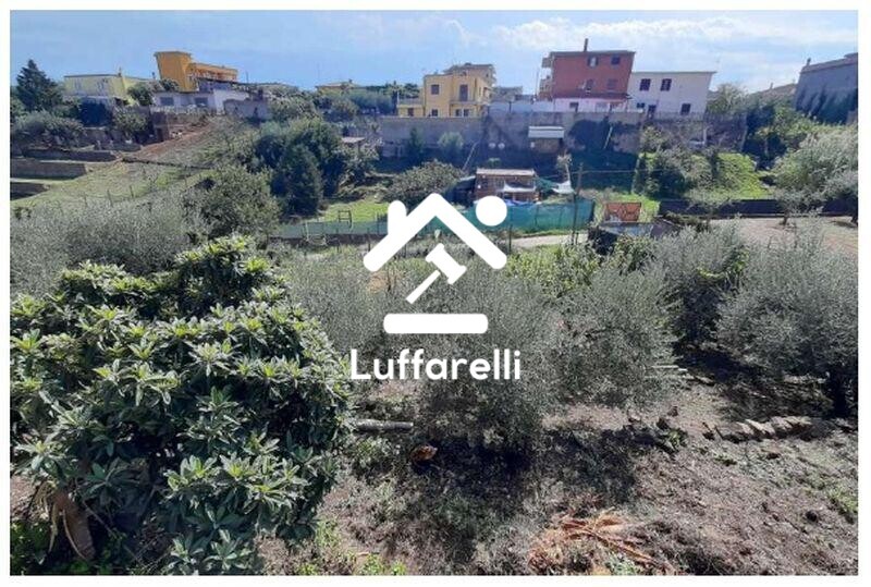 Immagine di APPARTAMENTO VIA DELLE NOTTUE – ARDEA