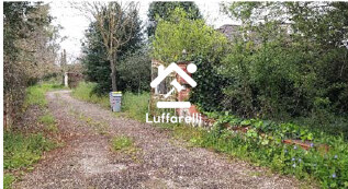 Immagine di CASA / VILLA STRADA POLLEDRARE – LATINA