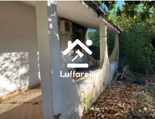 Immagine di CASA / VILLA VIA NETO – APRILIA