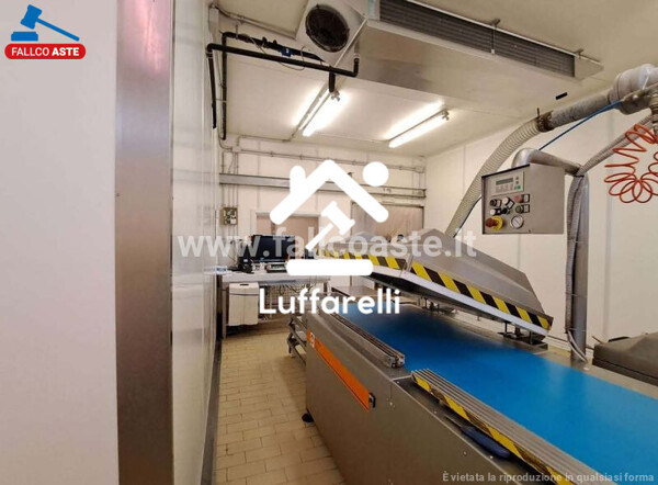 CAPANNONE / IMMOBILI INDUSTRIALI VIA MACHERIO - ROMA — foto 8