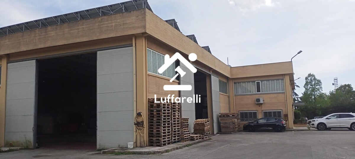 Immagine di CAPANNONE / IMMOBILI INDUSTRIALI VIA GIOVANNI AUGUSTA N. 14 – FROSINONE