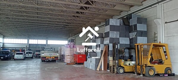 CAPANNONE / IMMOBILI INDUSTRIALI VIA GIOVANNI AUGUSTA N. 14 - FROSINONE — foto 4
