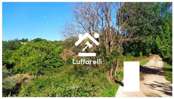 TERRENO VIA DELLA PALLADE - VELLETRI — foto 3