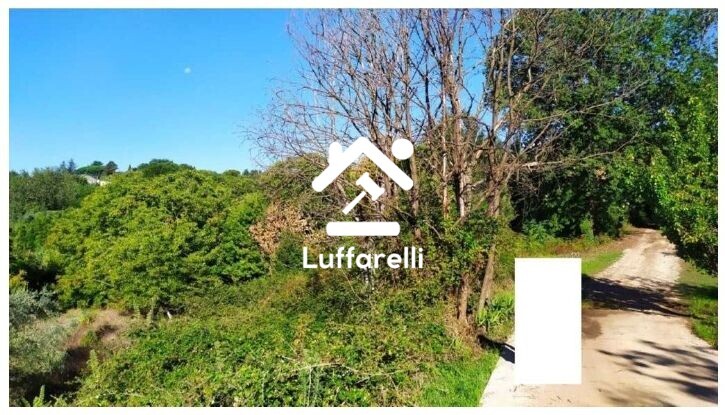 Immagine di TERRENO VIA DELLA PALLADE – VELLETRI