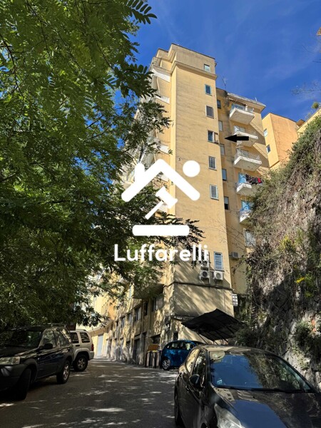 APPARTAMENTO VIA MOCCIA - FROSINONE — foto 2