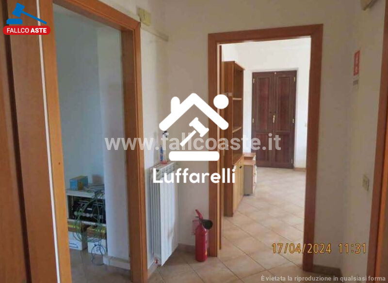 STRUTTURE AGRICOLE STRADA DELLA BADIOLA N.3 - PALOMBARA SABINA — foto 5