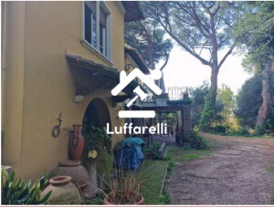 Immagine di CASA / VILLA VIA COLLE DELLE GINESTRE – GROTTAFERRATA