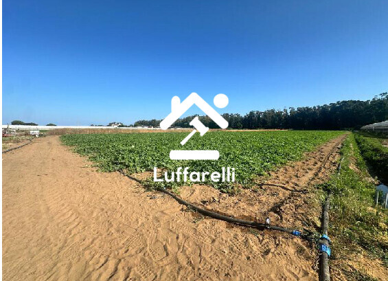 Immagine di APPARTAMENTO VIA AFRICA ORIENTALE – SAN FELICE CIRCEO