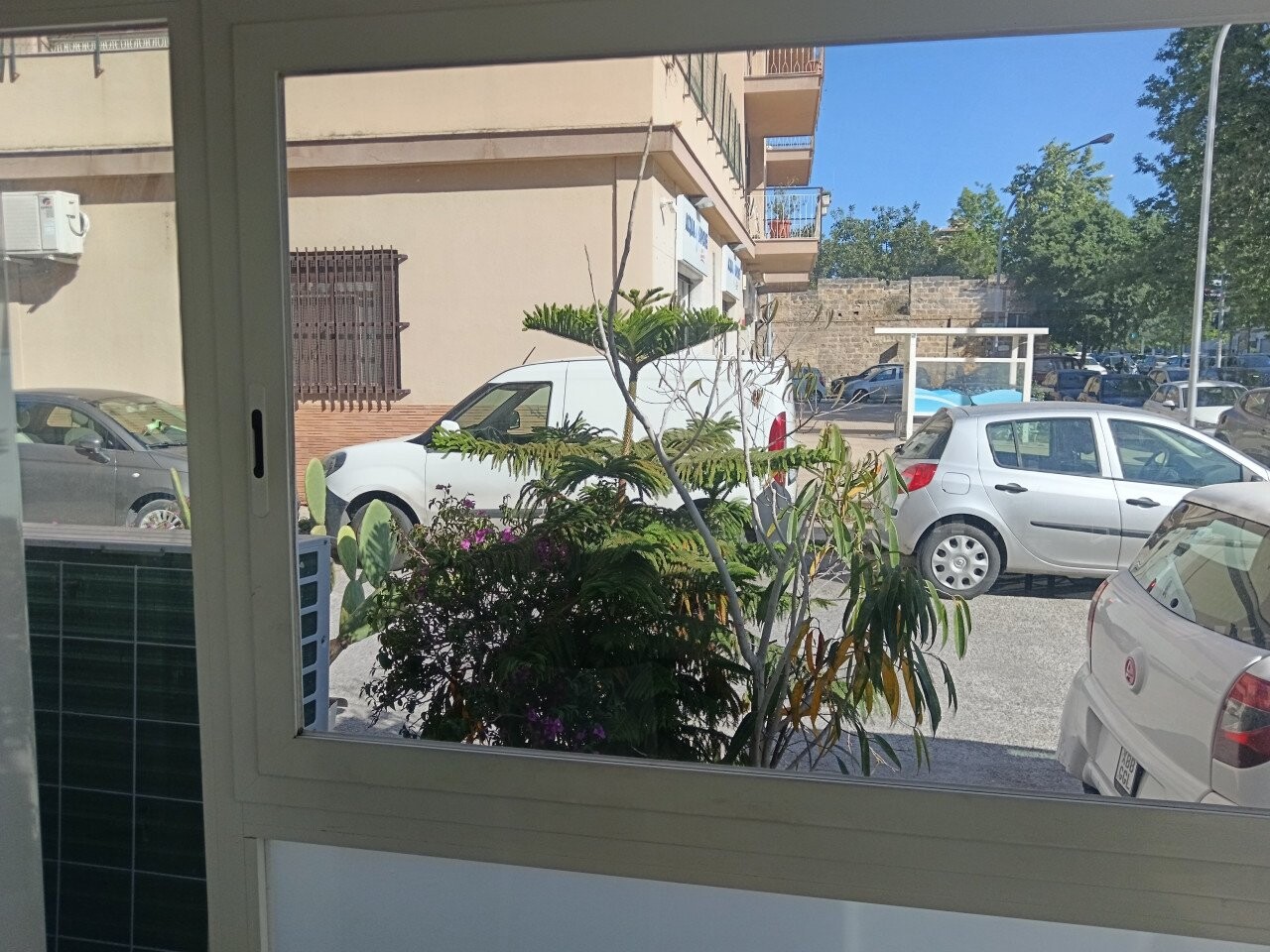 Merci Varie Non Deperibili — foto 8