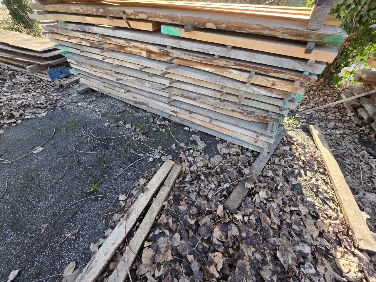 Materie Prime E Prodotti — foto 7