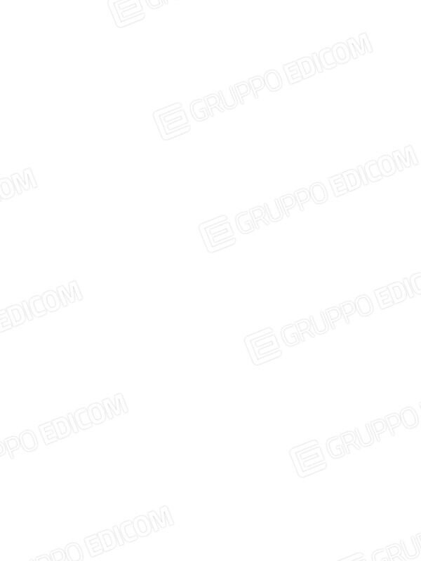 Oggetti D’Arte O Antiquariato — foto 8