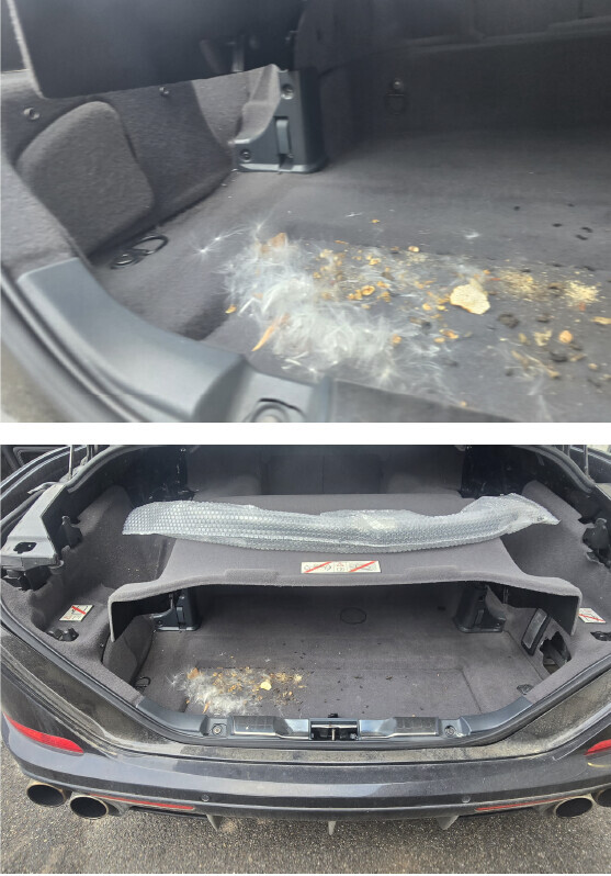 Autovetture — foto 4
