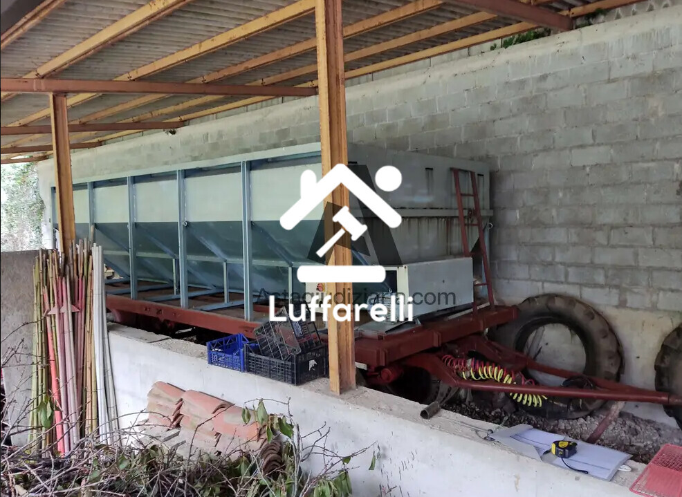 Macchinari Per L’Agricoltura, Foreste E Pesca — foto 3