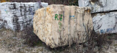 Bene Generico — foto 5
