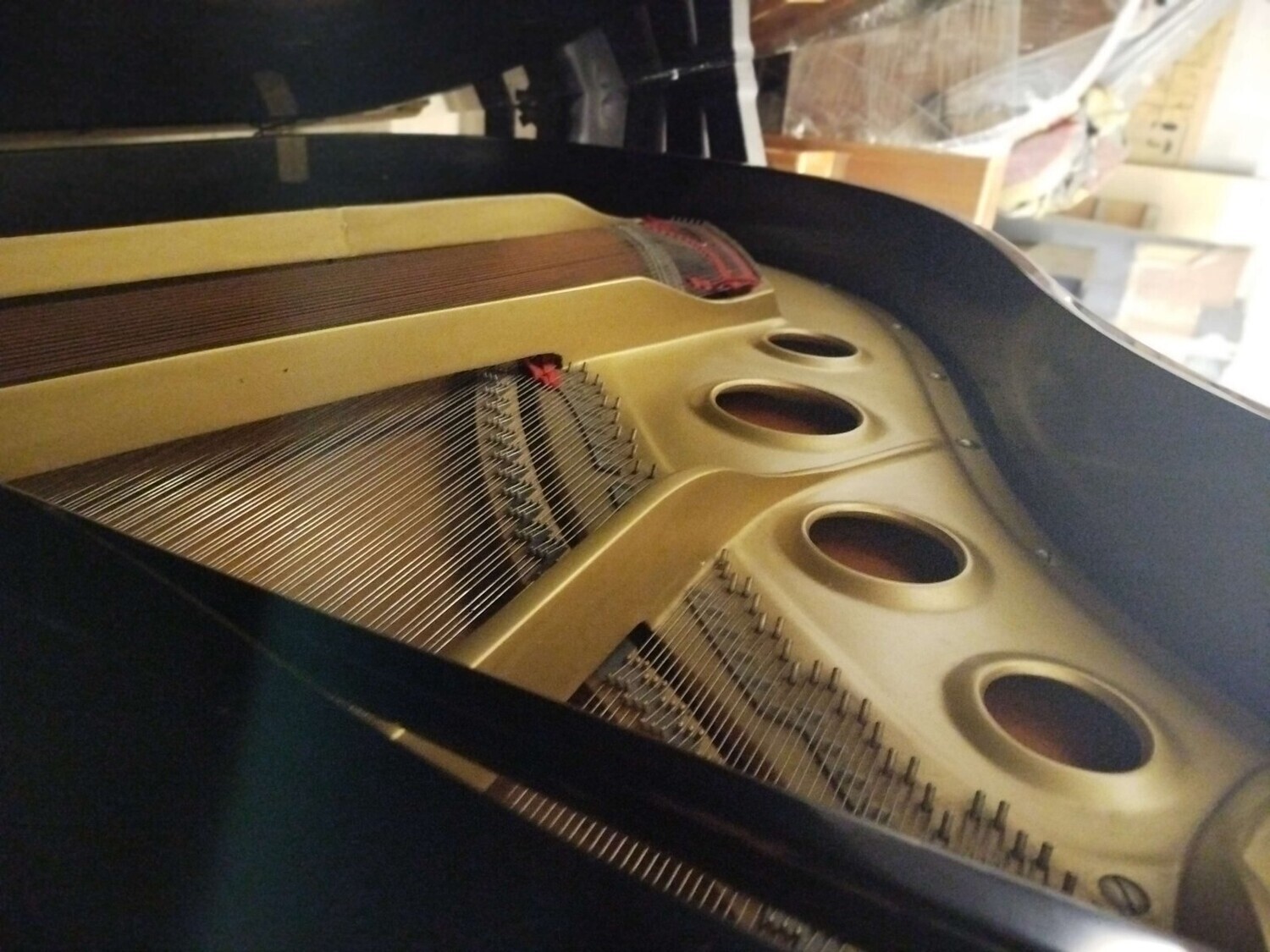 Bene Generico — foto 3