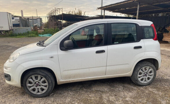 Autovetture – Autoveicolo Fiat Panda TG FB353BW telaio ZFA31200003599649… — foto 4