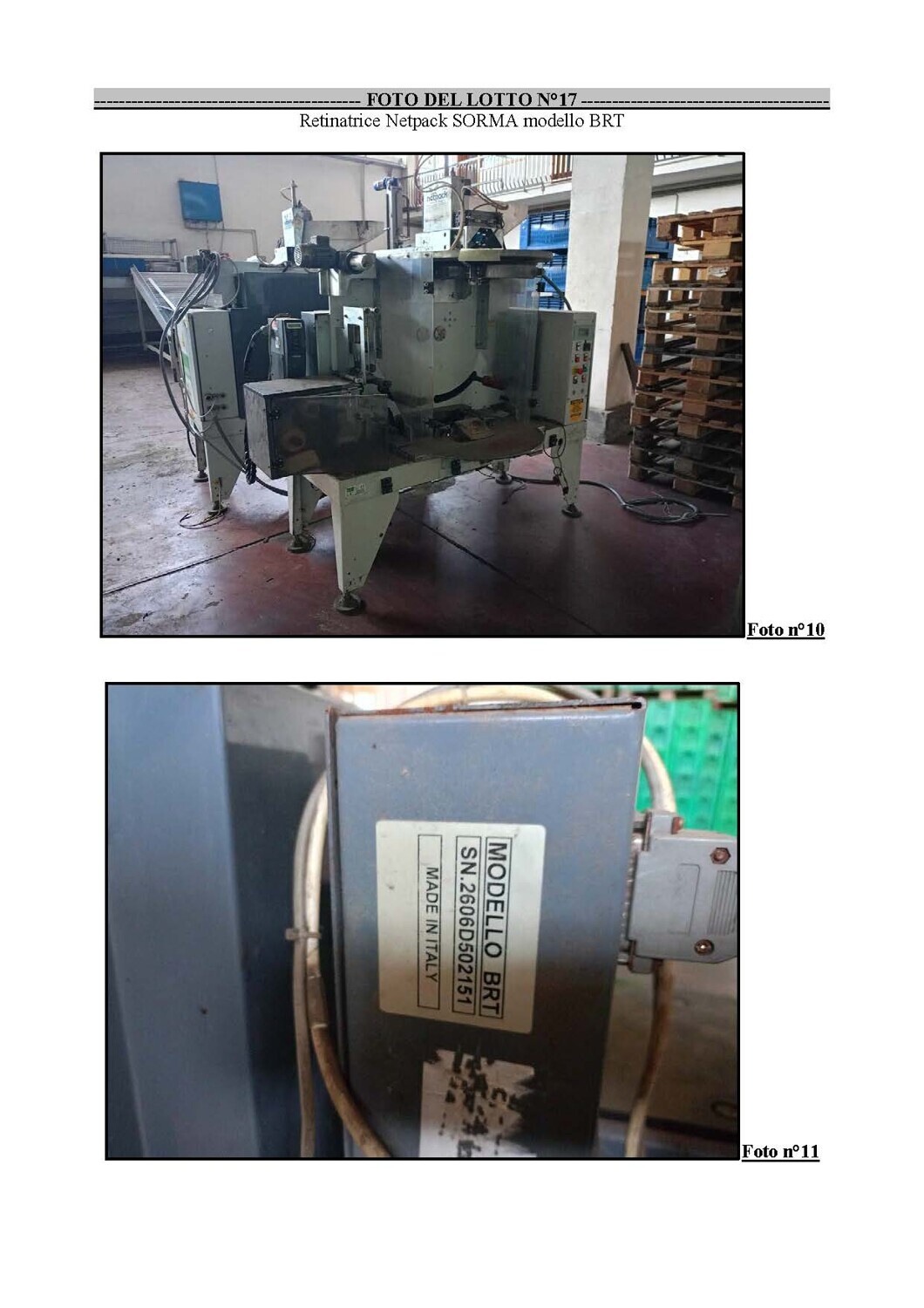 Attrezzature Varie – - SCALETTA per agrumi marca SORMA per linea di lavoraz. (lotto… — foto 3