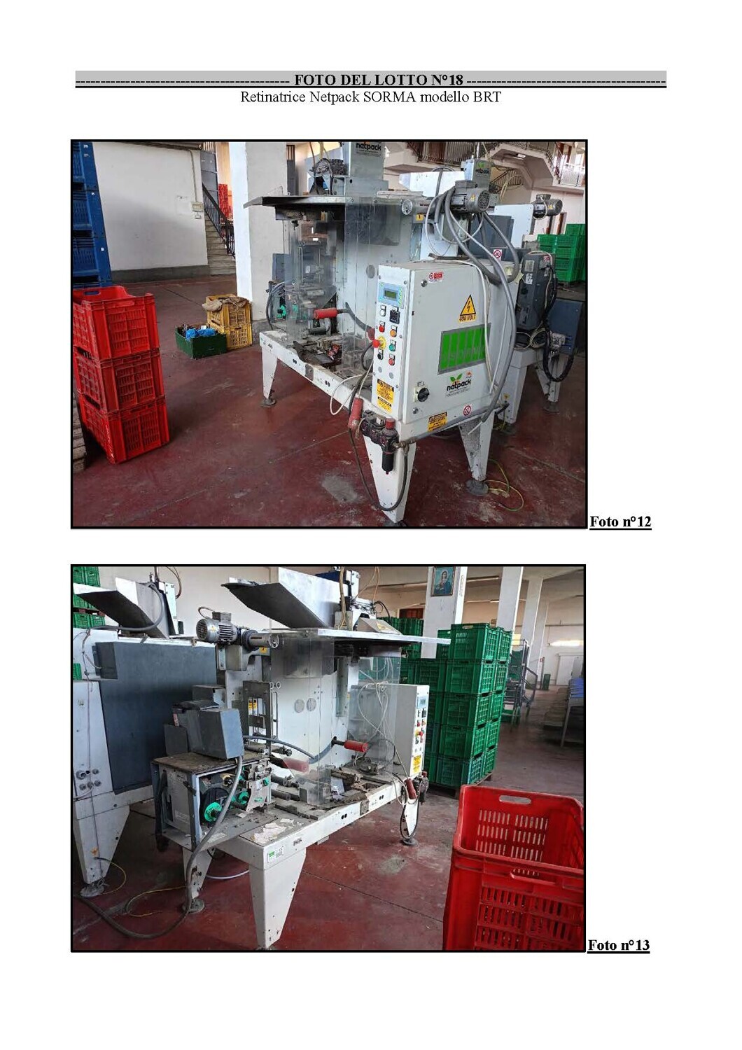 Attrezzature Varie – - SCALETTA per agrumi marca SORMA per linea di lavoraz. (lotto… — foto 2