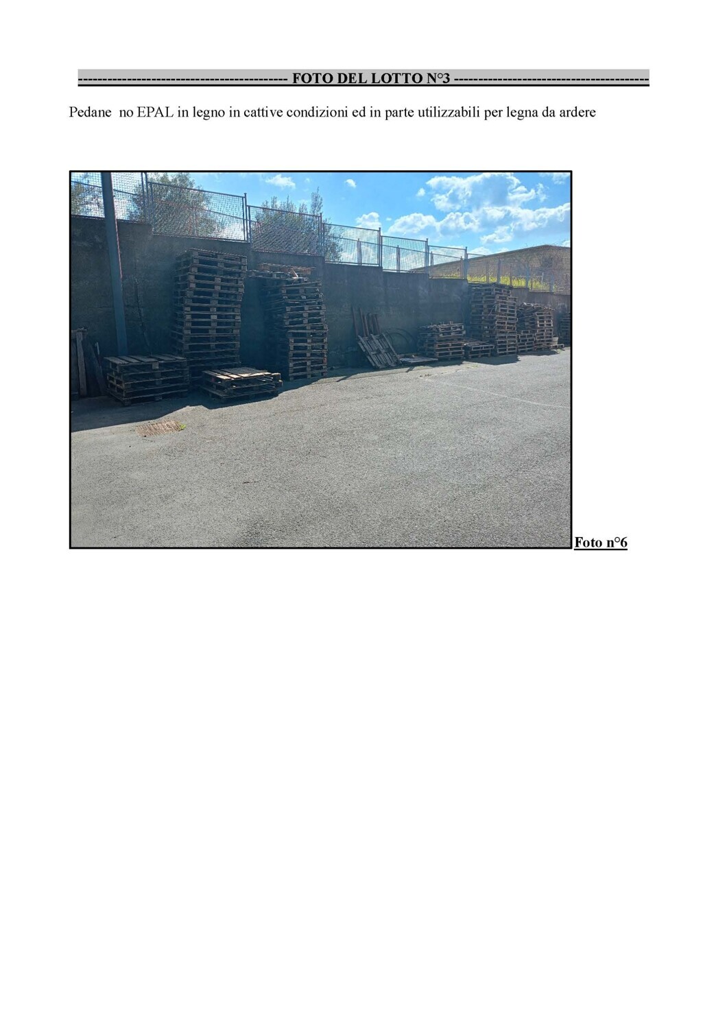 Bene Generico – -n.267 PEDANE in legno tipo EPAL (lotto n.2 perizia n.1)-n.100… — foto 2