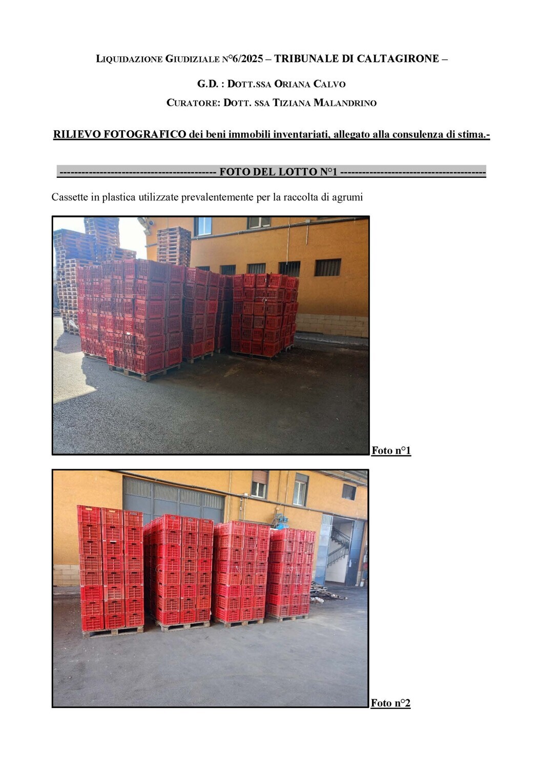 Bene Generico – N.6.905 CASSETTE in plastica per la raccolta di arance (lotto… — foto 2