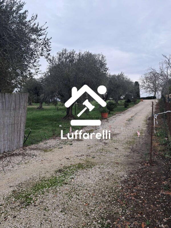 Immagine di APPARTAMENTO VIA FONTANILE DELLA REGINA – CERVETERI