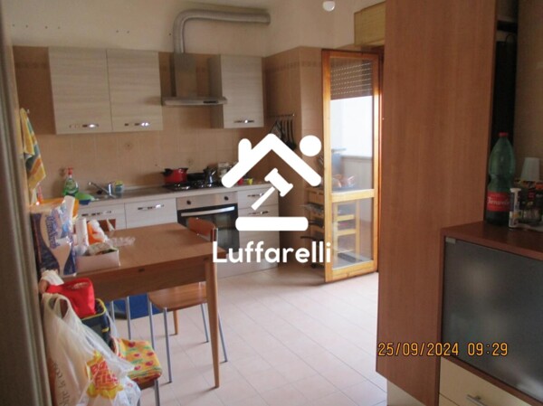 APPARTAMENTO VIALE LE CORBUSIER 449 - LATINA — foto 6