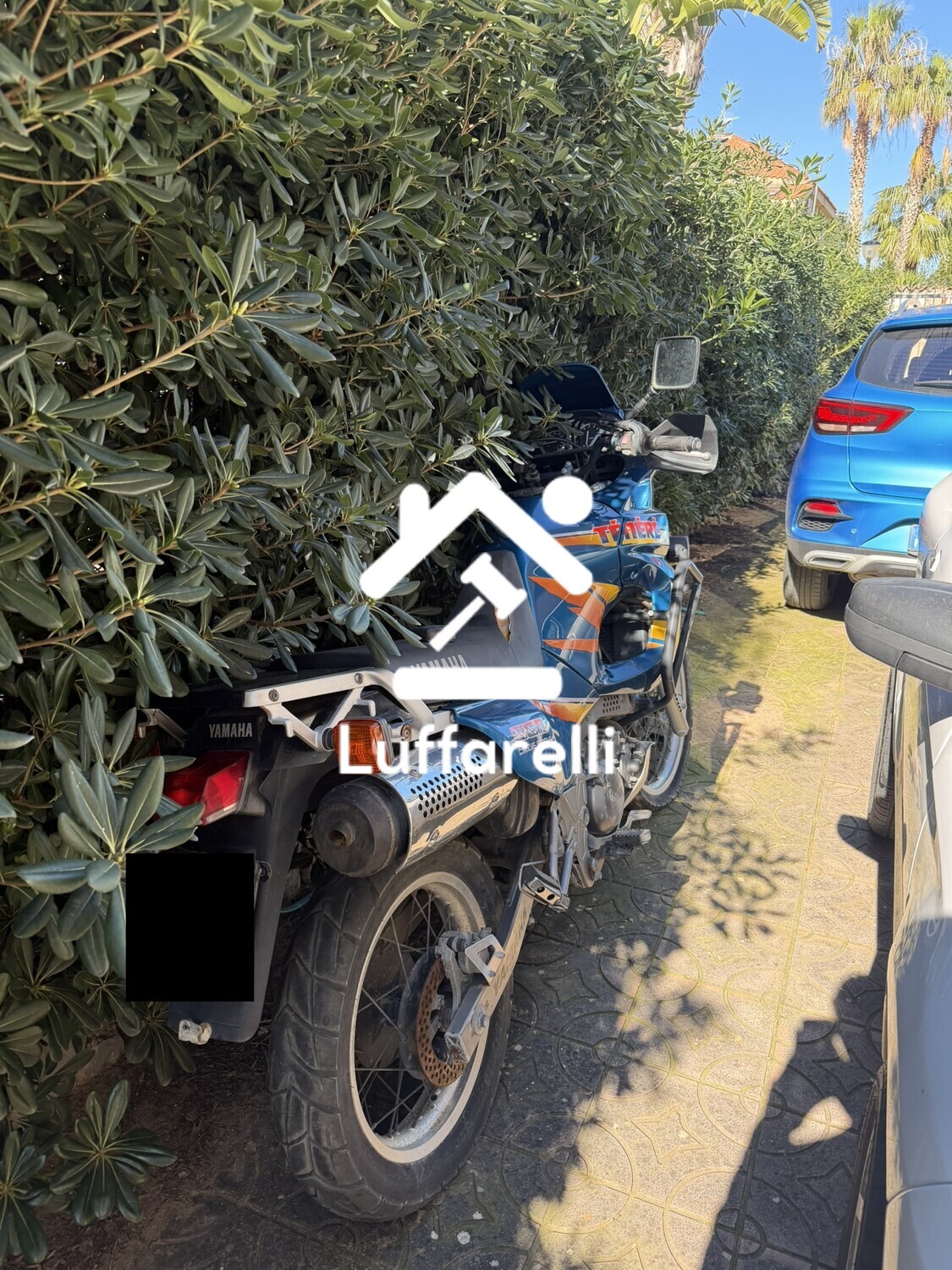 Motoveicolo O Ciclomotore — foto 3