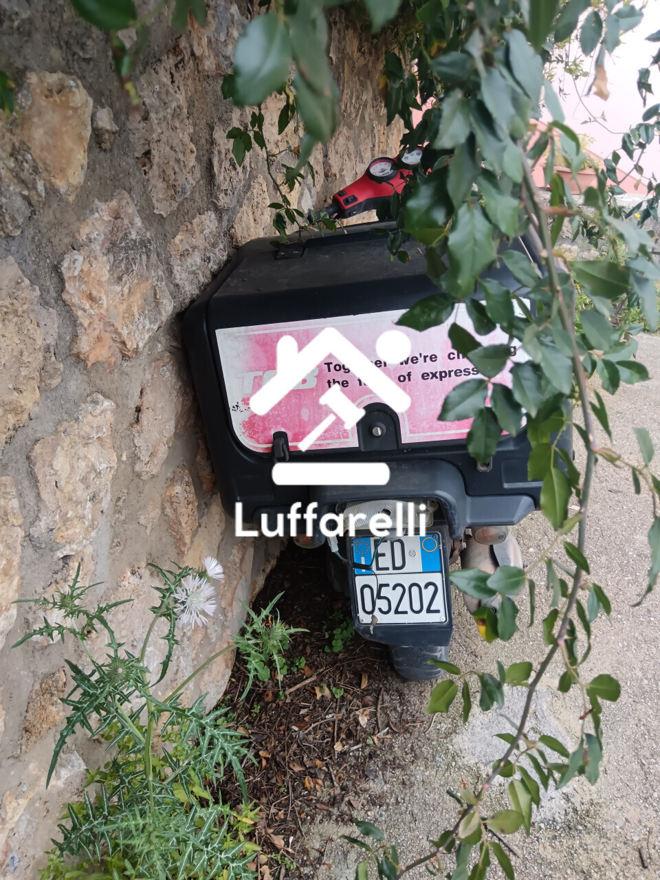 Motoveicolo O Ciclomotore — foto 7