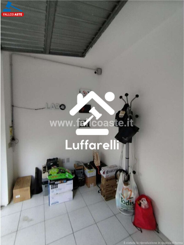 Immagine di CASA / VILLA VIA GIULIO GALLI – ROMA