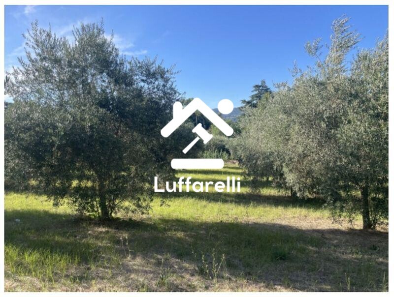 Immagine di TERRENO VIA DEI FIENILI – VELLETRI
