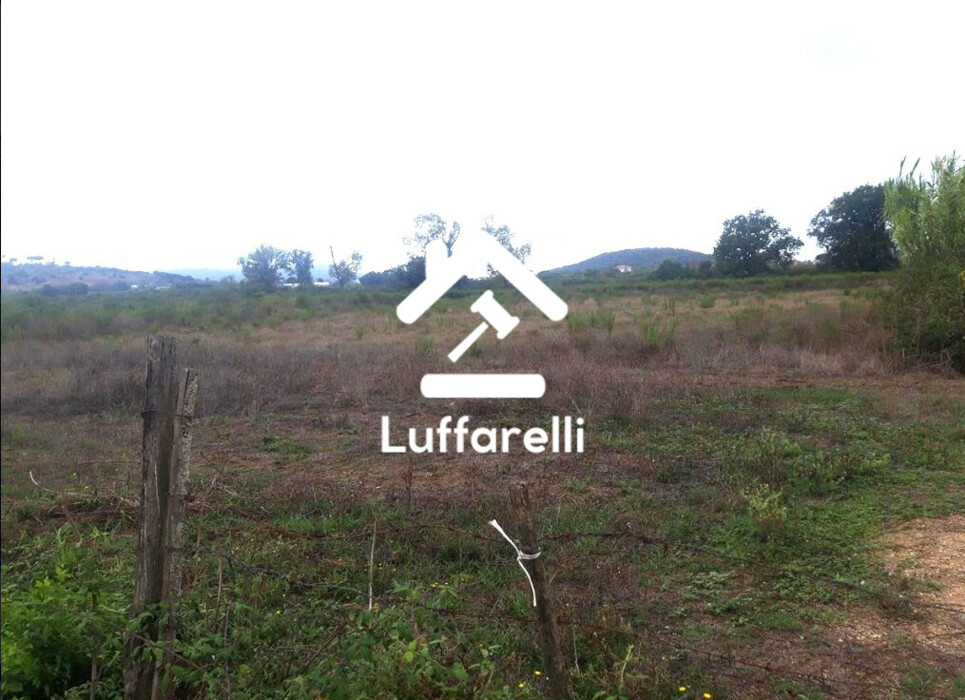 Immagine di TERRENO LOCALITÀ PANTANELLO – FONDI