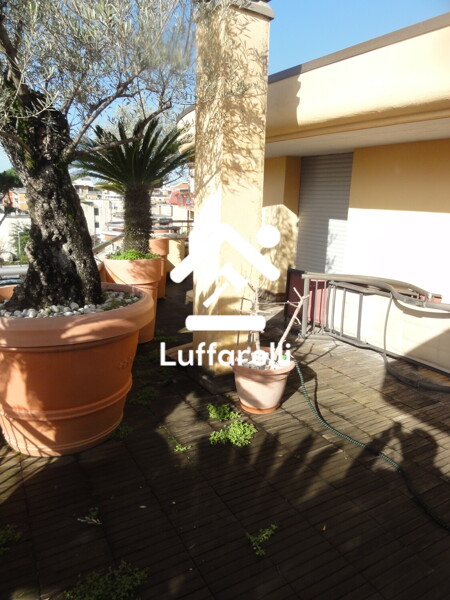 APPARTAMENTO VIA GIUSEPPE VERDI - LATINA — foto 3