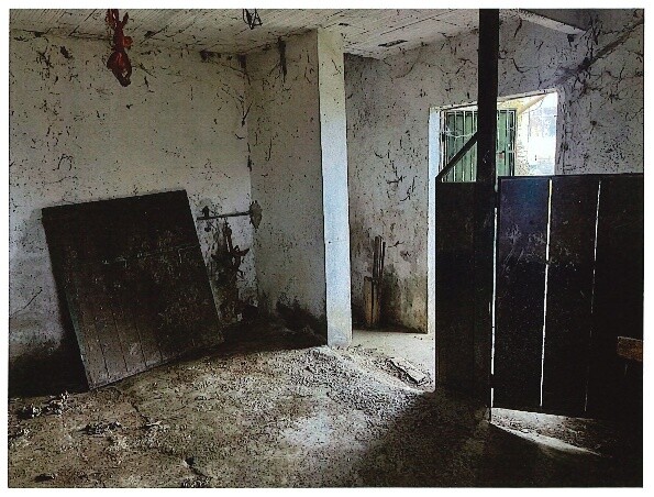 TERRENO VIA PADULLE - MONTESE — foto 2