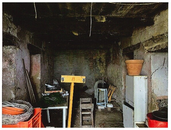 TERRENO VIA PADULLE - MONTESE — foto 4