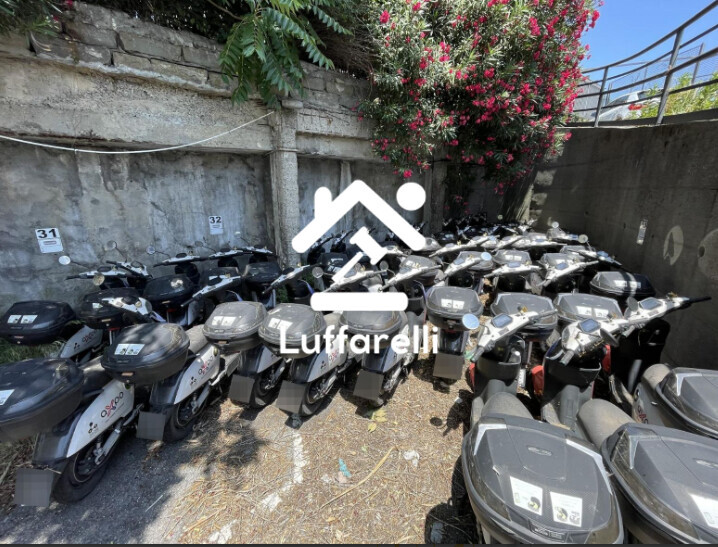 Motoveicolo O Ciclomotore — foto 3