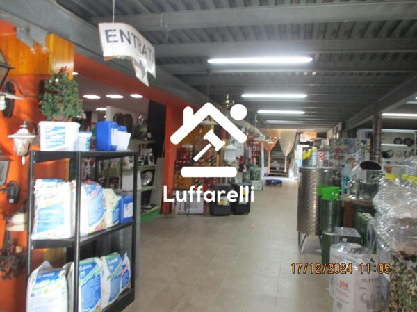 NEGOZIO O LOCALE COMMERCIALE STRADA PROVINCIALE VELLETRI - ANZIO - CORI — foto 6