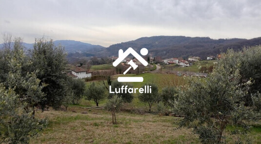 Immagine di TERRENO VIA FAGGIANA – CHIAMPO