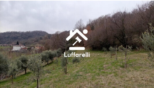 TERRENO VIA FAGGIANA - CHIAMPO — foto 2