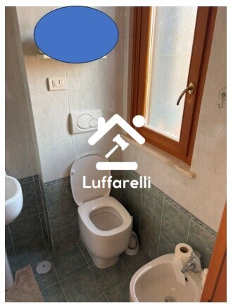 Immagine di CASA / VILLA VIA DON UGO BASSI – MARINO