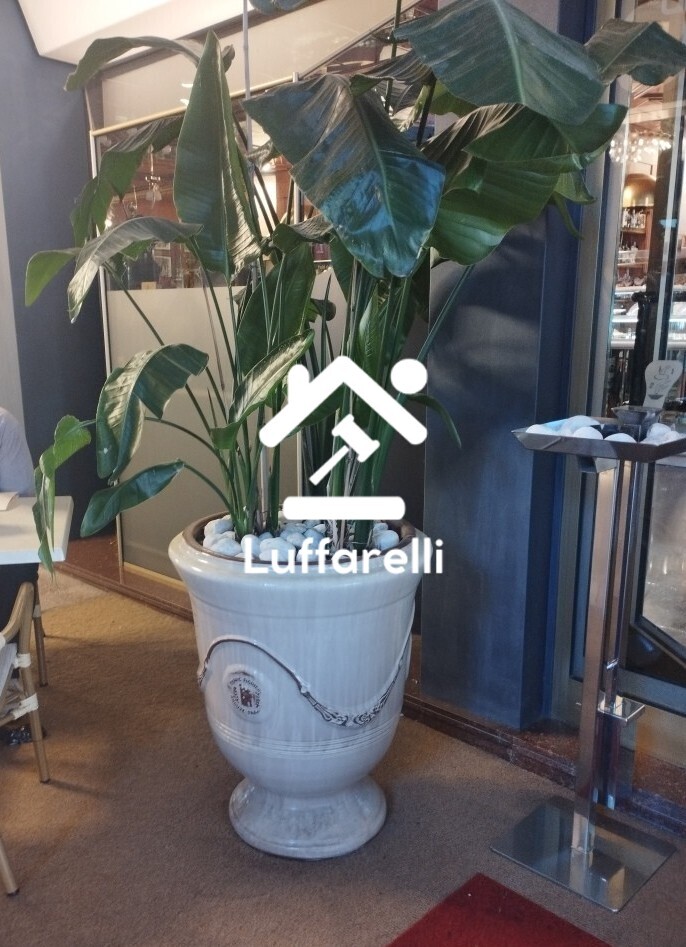 Commercio Al Dettaglio, Ristorazione E Industria Alberghiera — foto 6