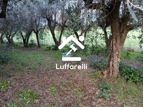 Immagine di APPARTAMENTO VIA FONTANA MURATA – SERMONETA