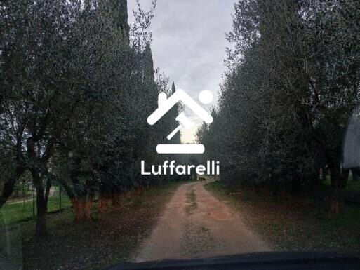 Immagine di APPARTAMENTO VIA FONTANA MURATA – SERMONETA