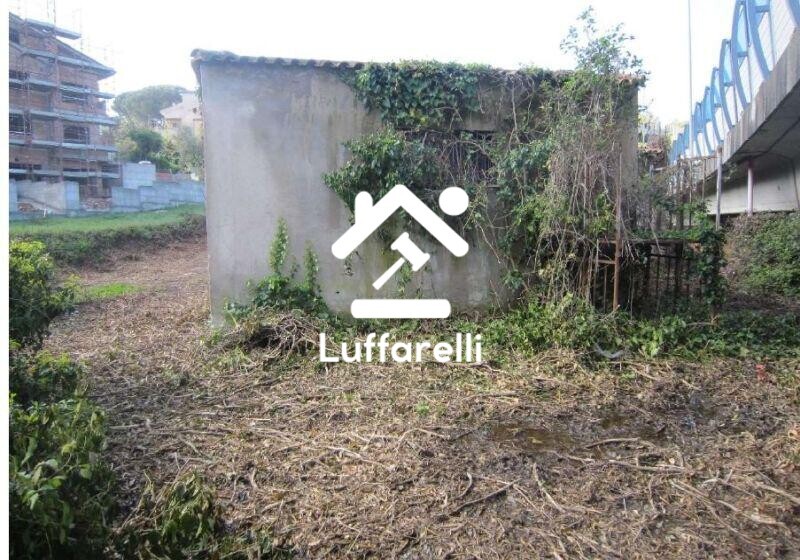 Immagine di DEPOSITO / MAGAZZINO VIA ABETONIA – ALBANO LAZIALE
