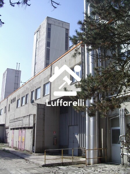 CAPANNONE / IMMOBILI INDUSTRIALI LOCALITÀ CASTELLACCIO - VIA CASILINA KM. 57.500 - PALIANO — foto 6