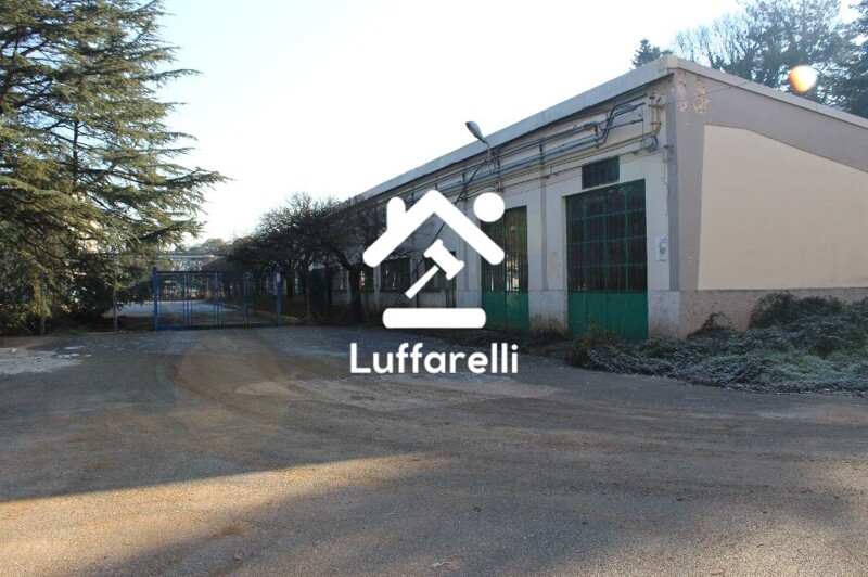 Immagine di CAPANNONE / IMMOBILI INDUSTRIALI LOCALITÀ CASTELLACCIO – VIA CASILINA KM. 57.500 – PALIANO