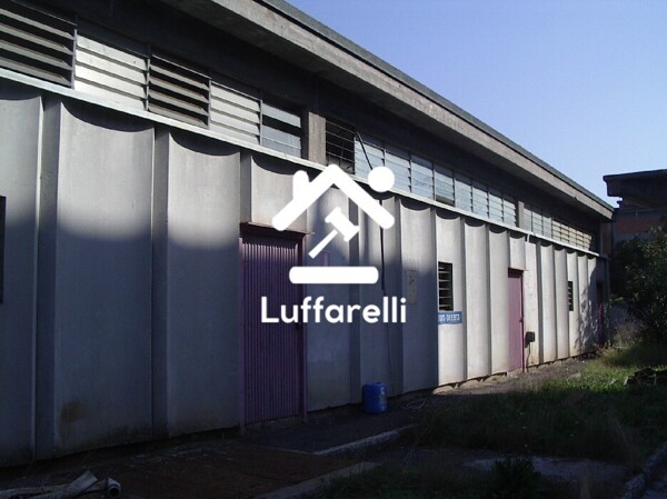 CAPANNONE / IMMOBILI INDUSTRIALI LOCALITÀ CASTELLACCIO - VIA CASILINA KM. 57.500 - PALIANO — foto 2