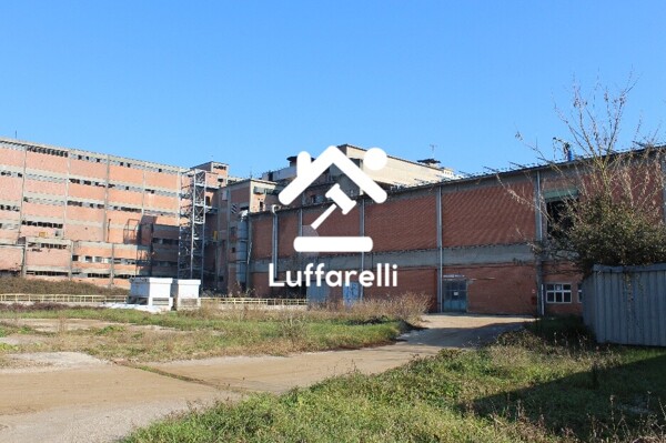 CAPANNONE / IMMOBILI INDUSTRIALI LOCALITÀ CASTELLACCIO - VIA CASILINA KM. 57.500 - PALIANO — foto 8